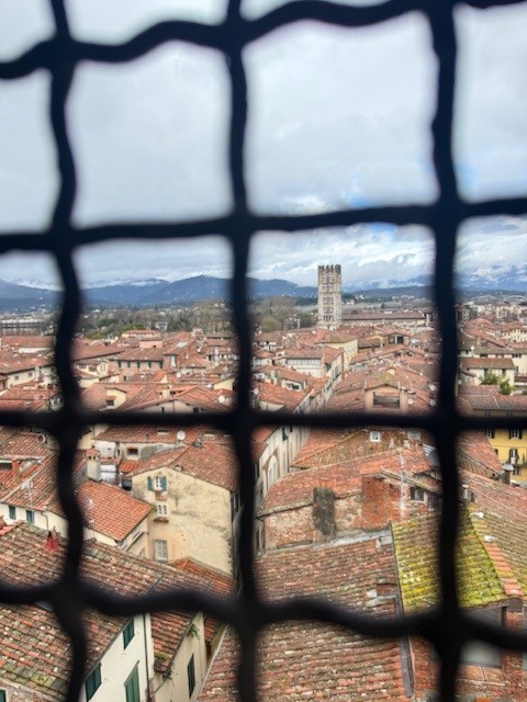View of a cityscape through a grid pattern, showcasing terracotta rooftops and a bell tower in the distance, with mountains under a cloudy sky.