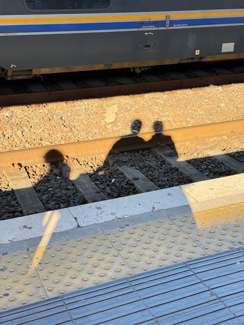 Shadows of two people standing on a train platform, with train tracks and a train in the background.