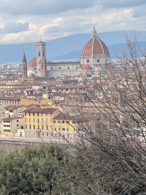 Panoramic view of Florence, Italy, featuring the iconic Duomo with its red dome, the bell tower, and surrounding historic buildings.
